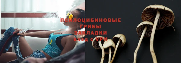 ешки Остров