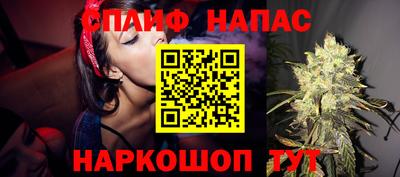 стафф Бийск