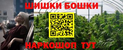 стафф Бийск