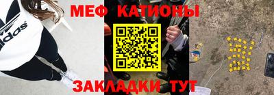 стафф Бийск