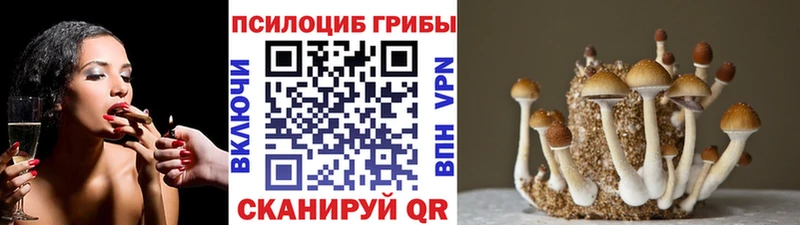 Галлюциногенные грибы мицелий  Лениногорск 