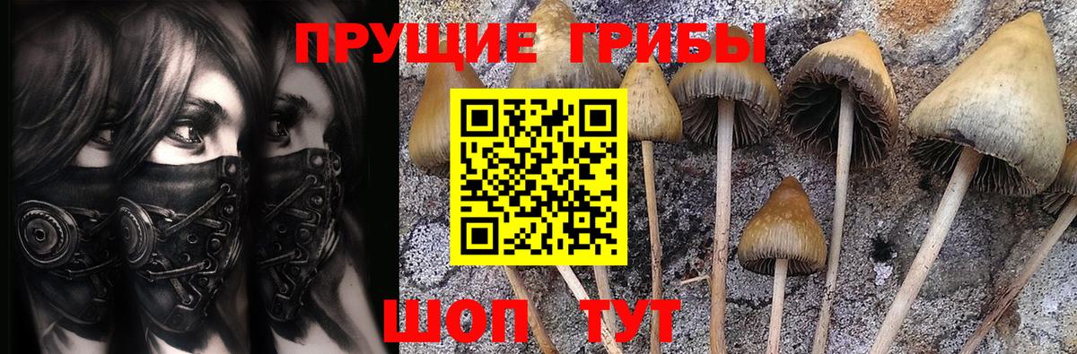 Лениногорск  Псилоцибиновые грибы MAGIC MUSHROOMS  Вход с VPN  Псилоцибиновые грибы мухоморы 