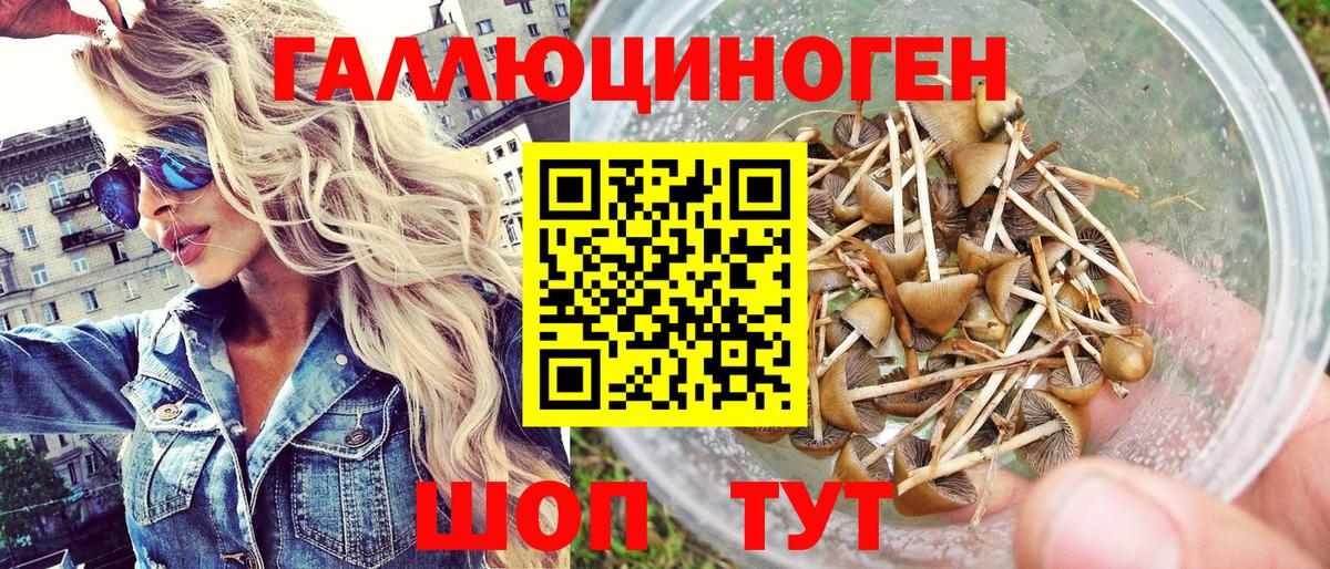 Галлюциногенные грибы Cubensis Лениногорск